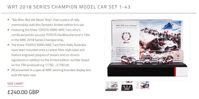Rally cars models - gift ideas for race fans