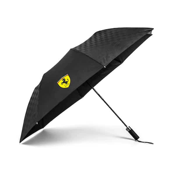 Gift ideas for race fans - umbrella