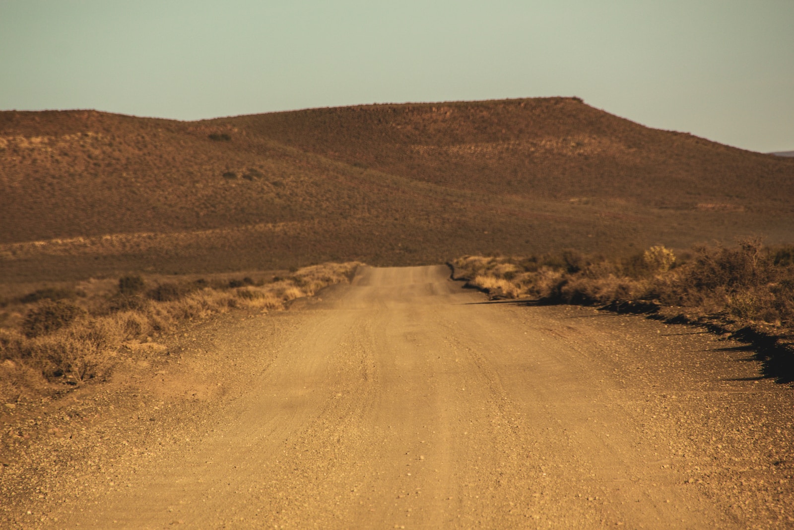 Rally Safari roads