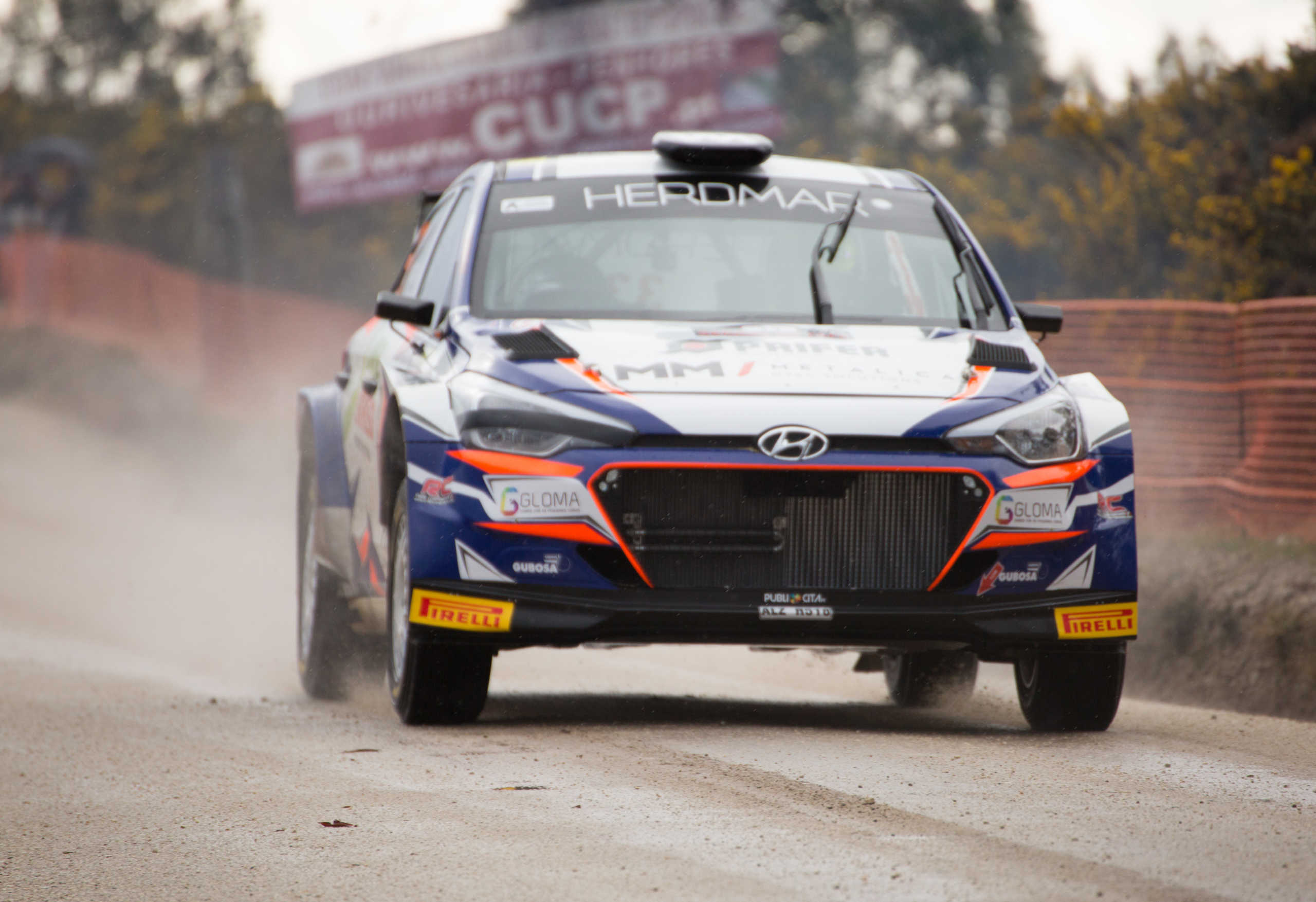 Hyundai I20 R5 rally car price