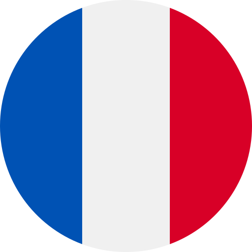 sebastien ogier flag france