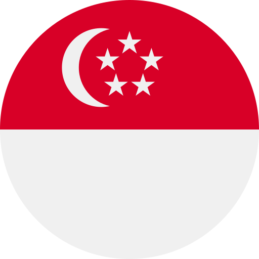 F1 racing flag singapore