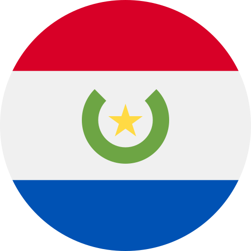 paraguay racing flag