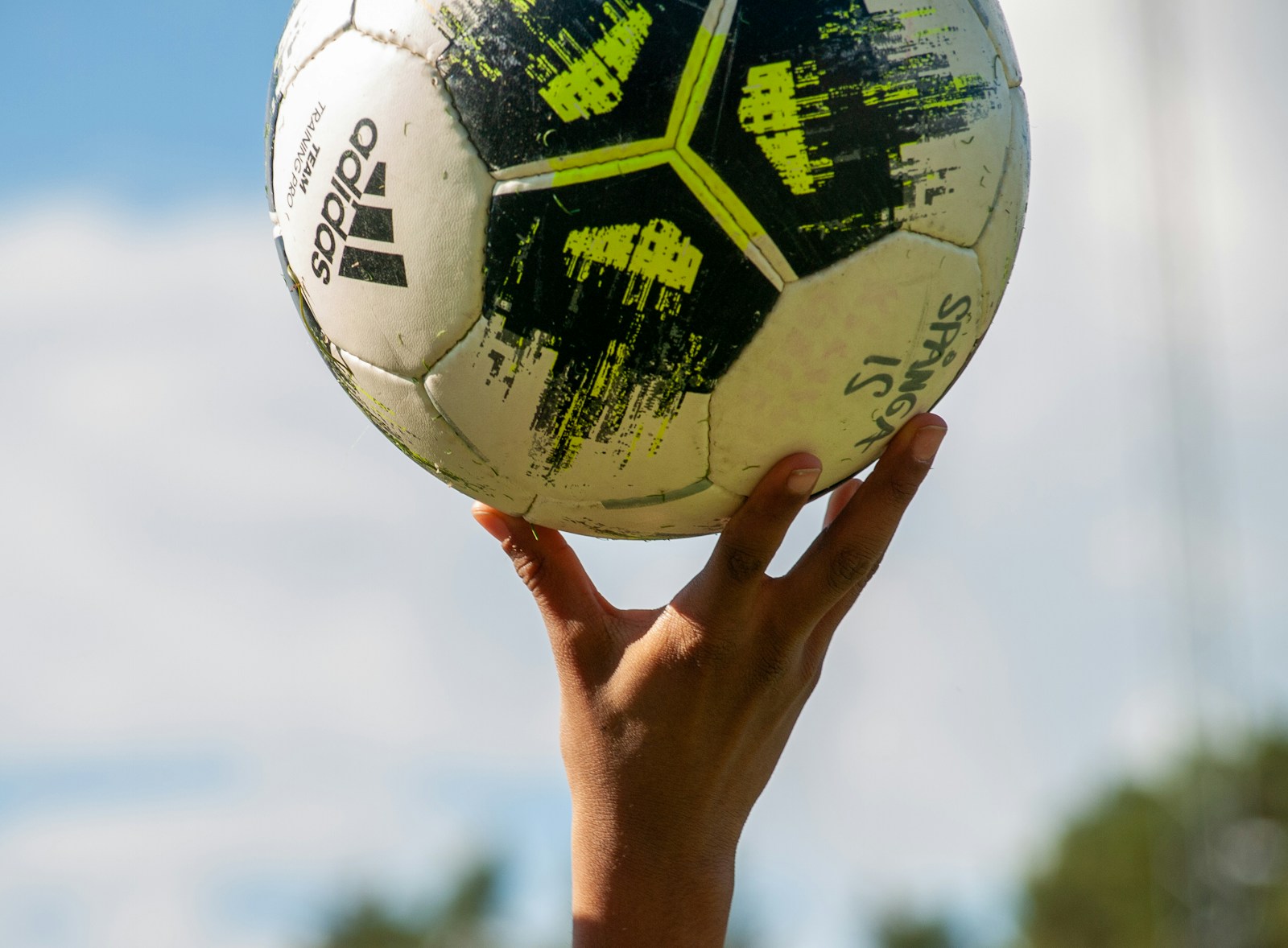f1 drivers football teams, what football teams do F1 drivers support?