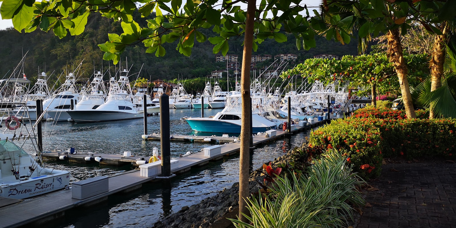 f1 drivers off-season activities, renting yachts